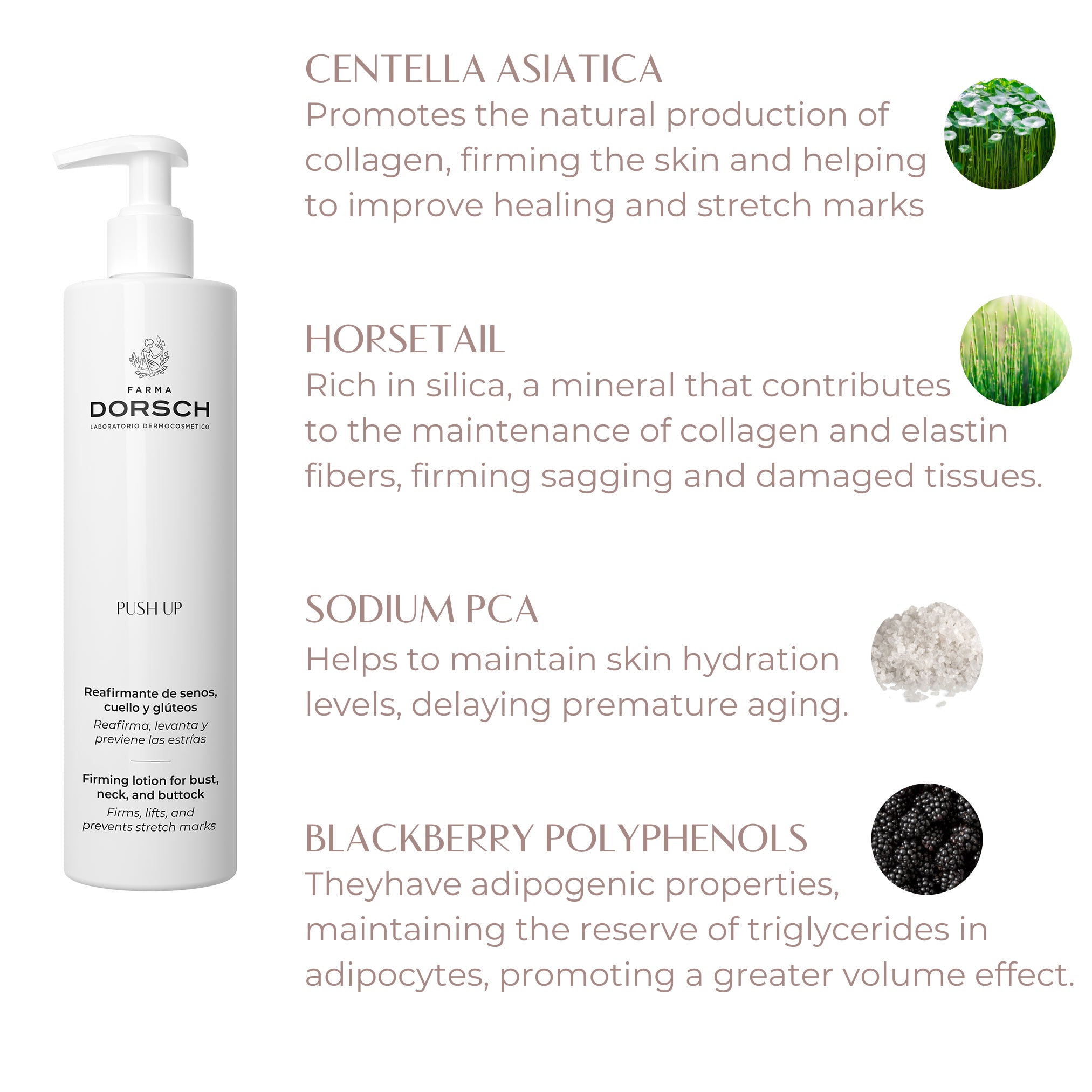 PUSH UP - FIRMING LOTION FOR BUST, NECK & BUTTOCK