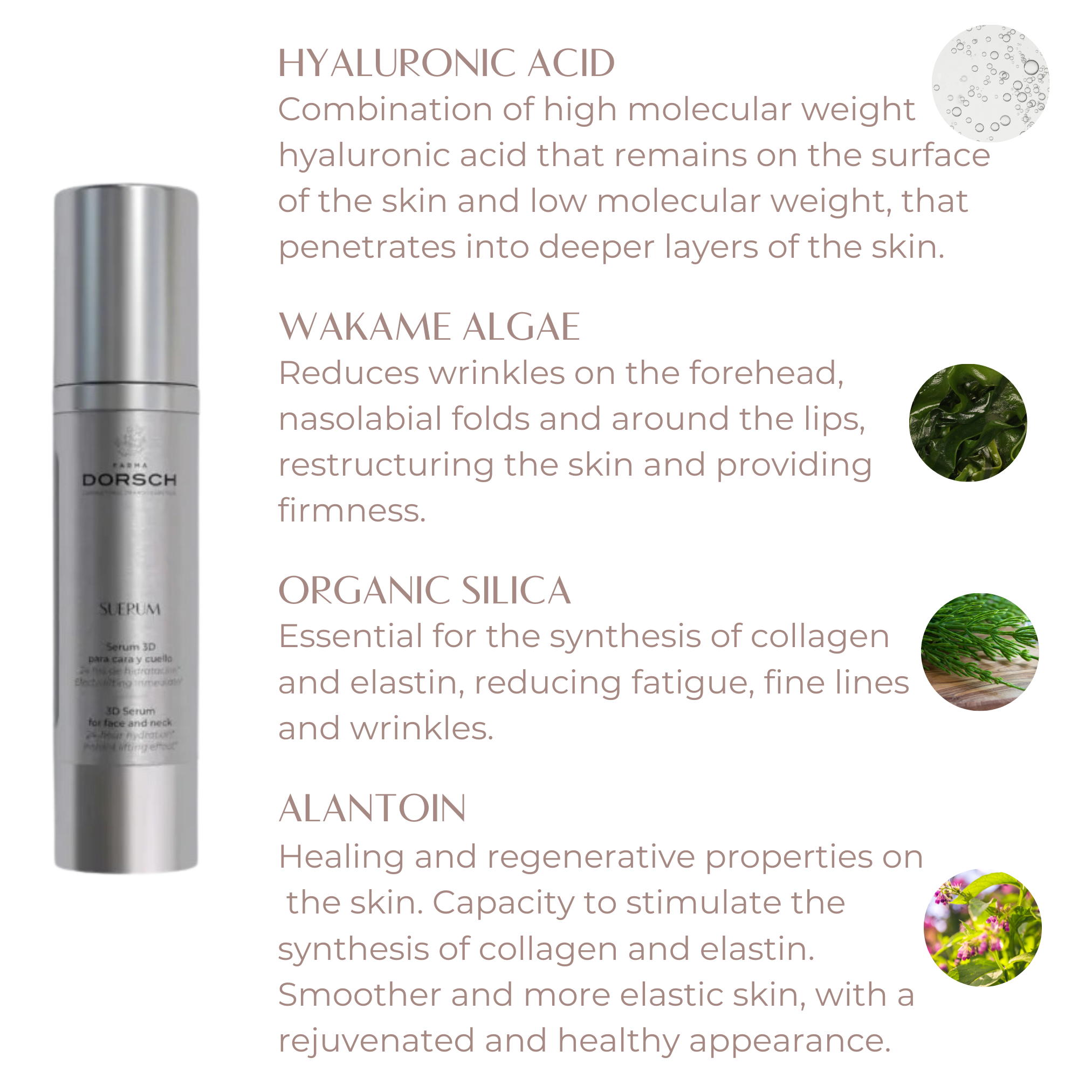SUERUM - FACE SERUM